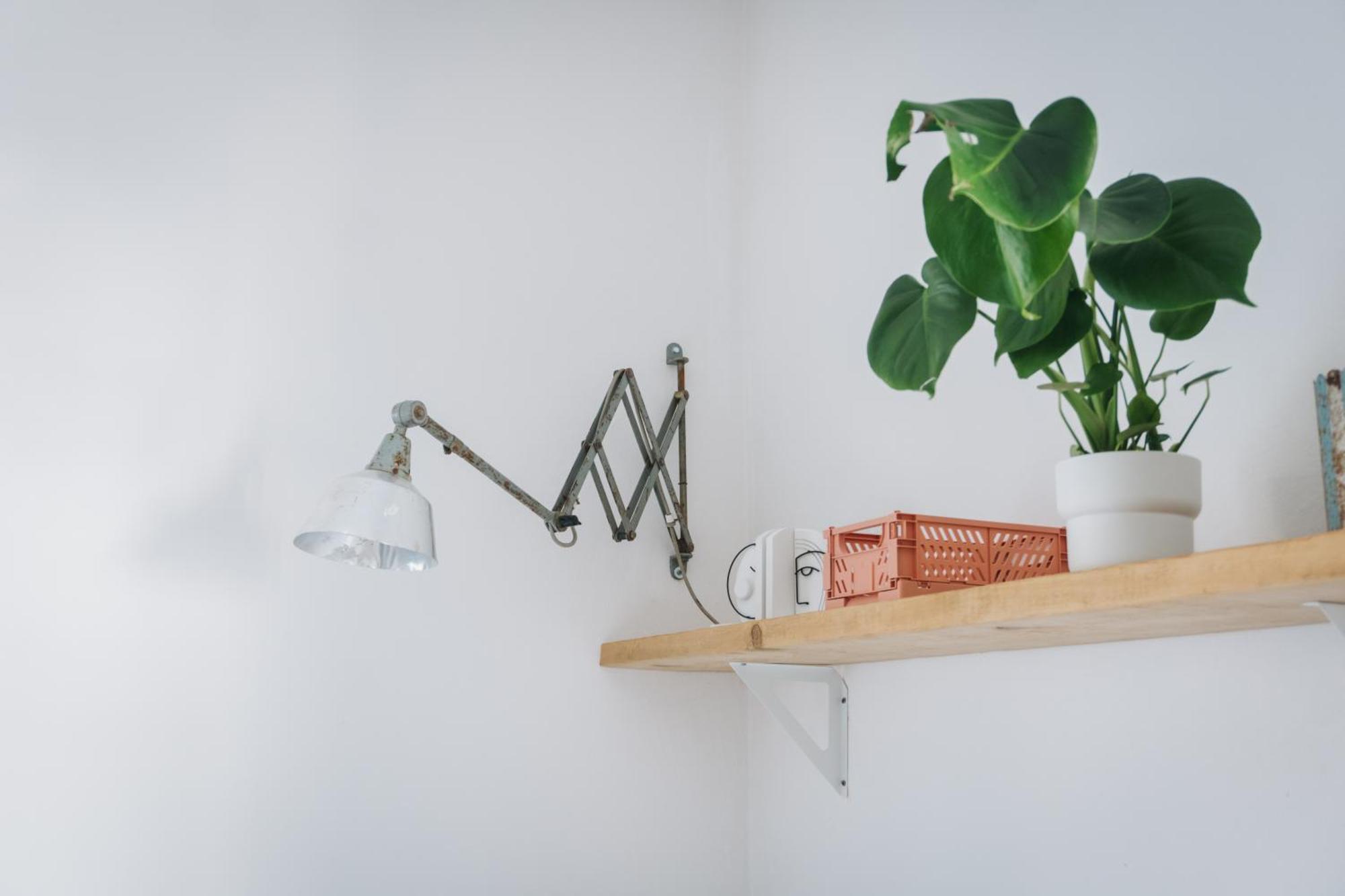 דירות שטראובינג Raum Life - Vintage Loft - Heimkino Netflix - 2X Privat Parkplaetze מראה חיצוני תמונה